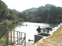 koz01.jpg (62459 �Ӧ줸��)