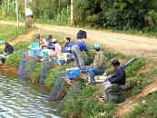 sh2-013.jpg (241089 �Ӧ줸��)