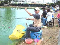 sh5-1-010.jpg (179226 �Ӧ줸��)