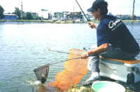 w-006.jpg (52739 �Ӧ줸��)